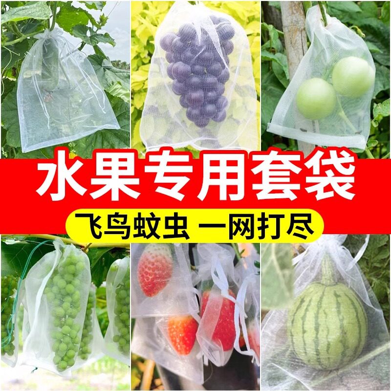 无花果套袋防虫防鸟水果保护袋果蔬袋农用种植纱网袋透气园艺用品
