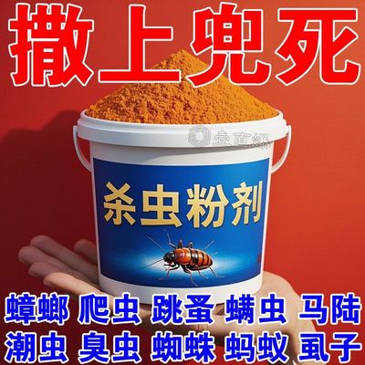 家用杀虫粉跳蚤药臭虫药虱子强力