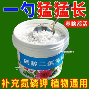 磷酸二氢钾花卉专用肥促花爆芽促花催花通用型水溶肥二水合物肥料