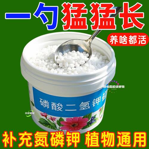 磷酸二氢钾花卉专用肥促花爆芽