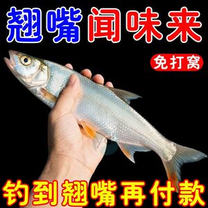 翘嘴狂提饵料添加剂翘嘴专用小药野钓黑坑钓大翘嘴专用饵料诱鱼剂