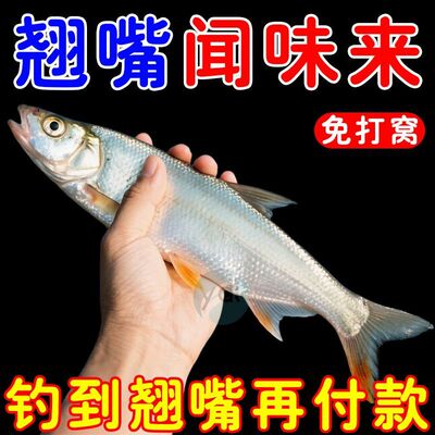 [翘嘴狂提饵料添加剂翘嘴专用小药野钓黑坑钓大翘嘴专用饵料诱鱼剂]