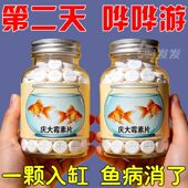 庆大霉素鱼病专用药烂身烂尾白点白毛掉磷蒙眼杀菌消炎康复消毒药
