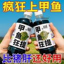 甲鱼狂提专用诱食剂新款 进口 高配版 添加其他益生菌钓小药水鱼正品