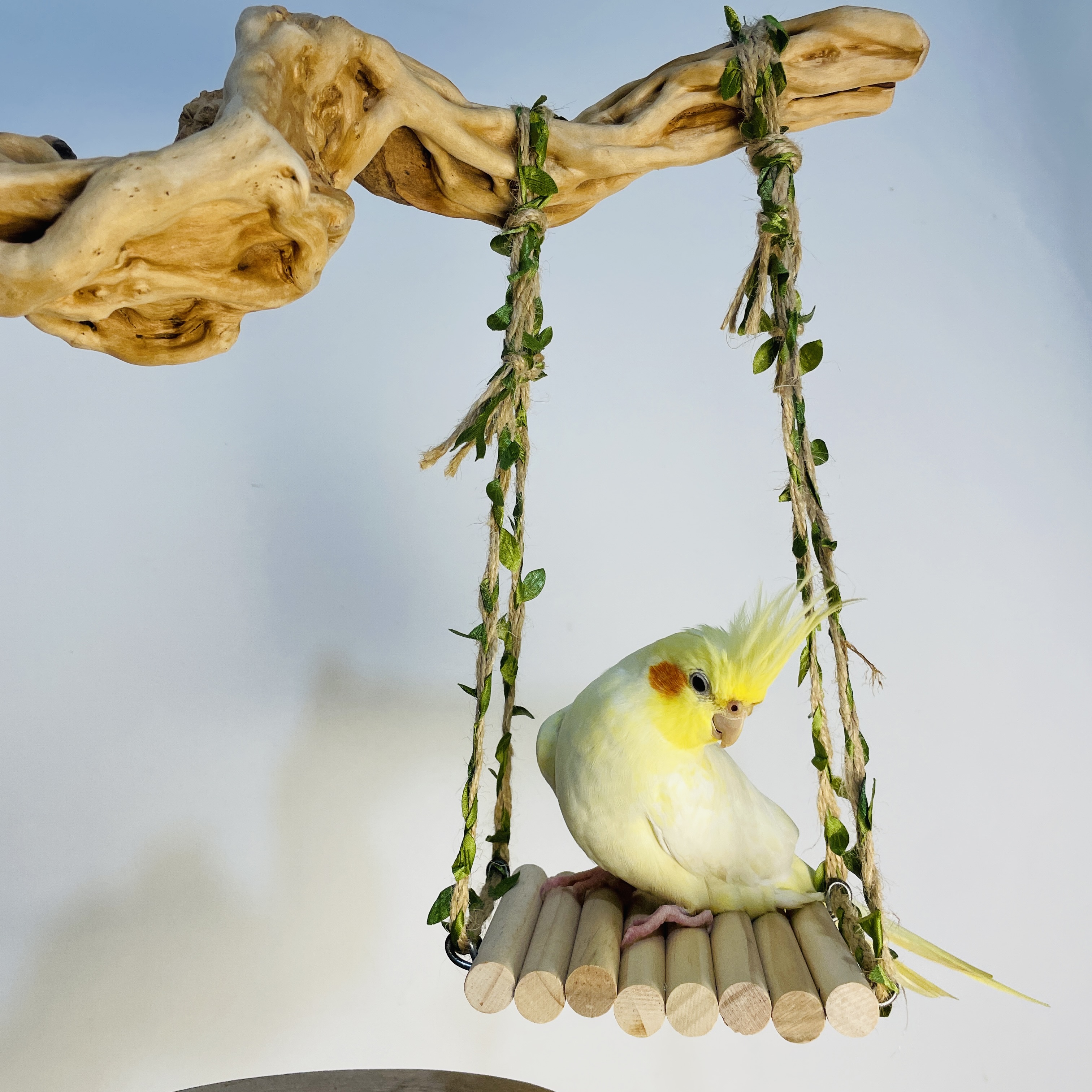 鹦鹉玩具藤蔓秋千啃咬磨喙解闷玄凤牡丹虎皮鸟笼站架爬行鸟玩具