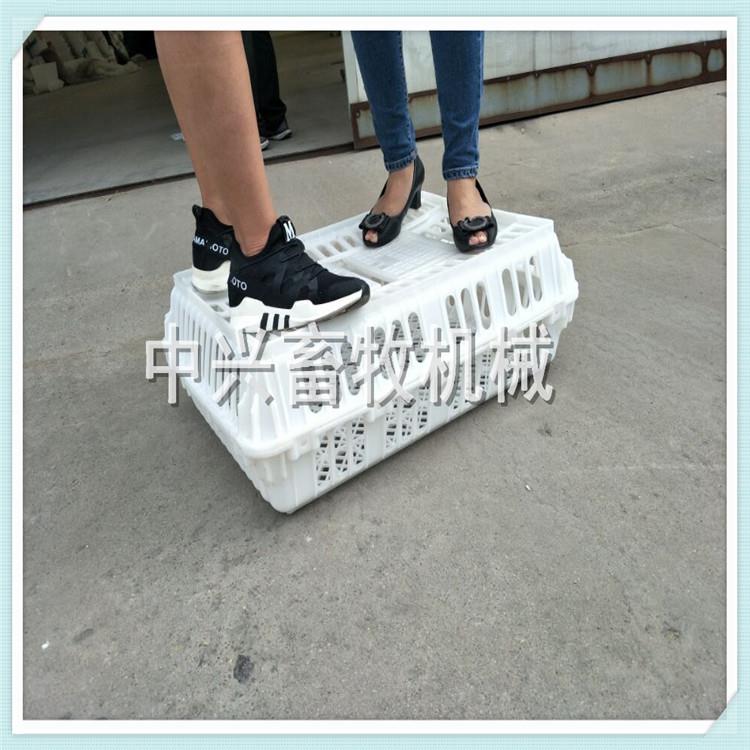 拉鹅笼 运输鹅筐 大鹅运输笼 塑料鸡笼