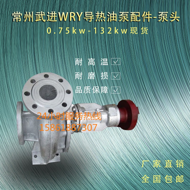 武进WRY导热油泵耐高温专用泵头11KW100-65-190总成泵轴联轴器图片
