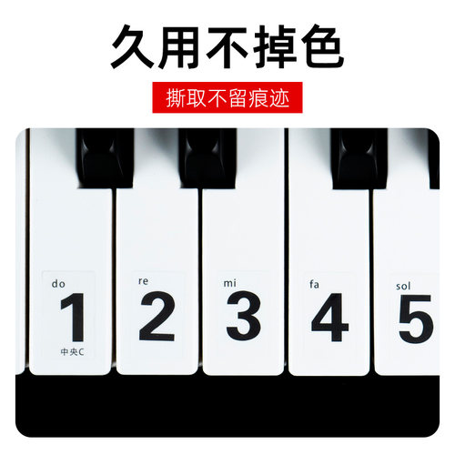 88/61/54键通用钢琴键盘贴纸电子琴手卷钢琴琴贴五线谱简谱键位贴
