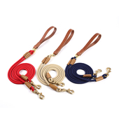 狗狗牵引绳多头牵一拖二宠物防缠绕金毛柯基德牧泰迪双头狗绳大型