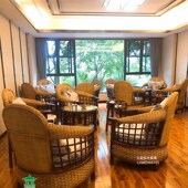 实木真藤沙发三件套五件套藤椅茶几组合藤椅茶楼客厅休闲沙发 包邮