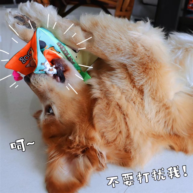 宠物立体书响纸发声玩具耐咬耐撕狗狗解闷磨牙神器可爱可水洗