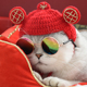 迎财神 猫咪狗狗新年帽子过年小猫头套英短头饰宠物针织毛线饰品
