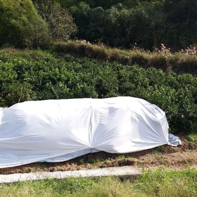 果园苗木防冻园艺保温膜车厘子李子橘树冬季防水农用樱桃茶树抗裂,农机/农具/农膜,农用薄膜,淘宝优惠券,粉丝福利购,淘宝优惠卷