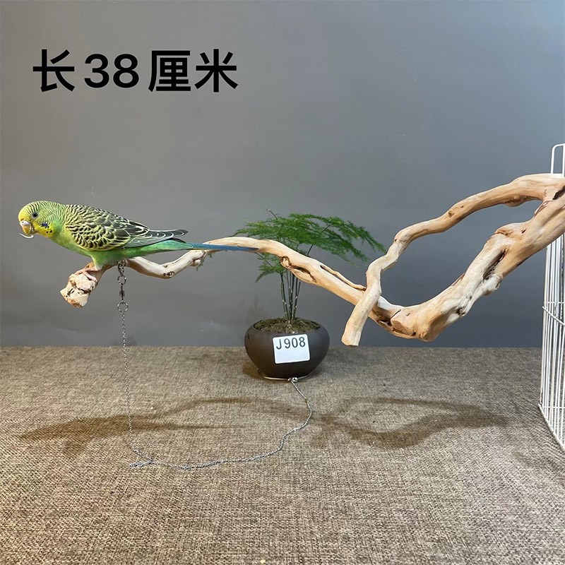 虎皮鹦鹉站杆鸟笼站杆玄风鸟站杆鹦鹦鹉爬架鹦鹉树枝鹦鹉拉屎站架