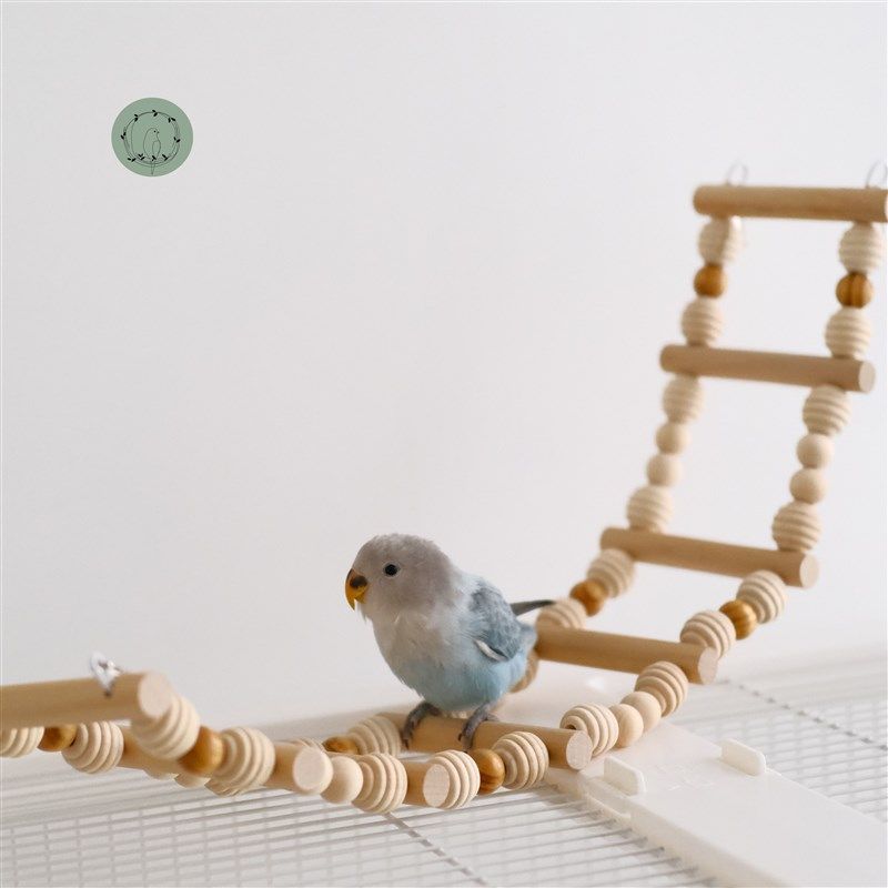 鹦鹉云梯原木梯子鸟笼梯子鹦鹉啃咬玩具用品玄凤牡丹鸟爬梯秋千,宠物/宠物食品及用品,鸟玩具,淘宝优惠券,粉丝福利购,淘宝优惠卷