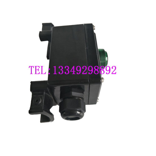 伴热带尾端接线盒指示灯终端盒伴热电缆带灯尾端220V/380V末端