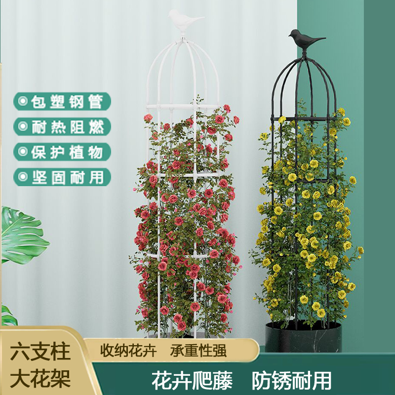 爬藤架藤架大号玫瑰花架铁线莲月季花支架植物花盆支撑攀爬架子