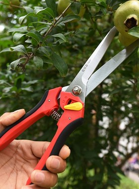 佐川吉7929加长蔬果剪摘果剪刀稀果剪家用花枝整枝剪子葡萄果树剪