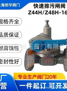 铸钢法兰快速排污阀Z44H/P48H锅炉DN40DN50DN65DN80DN100