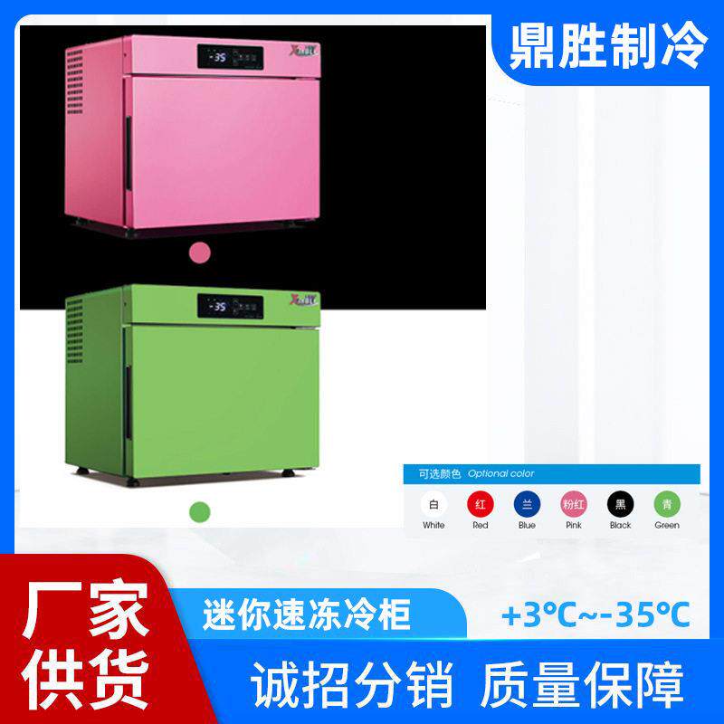 迷你冰箱32L商用冰箱42L迷你冰箱mini冰箱海参冷冻柜迷你菜品冰箱