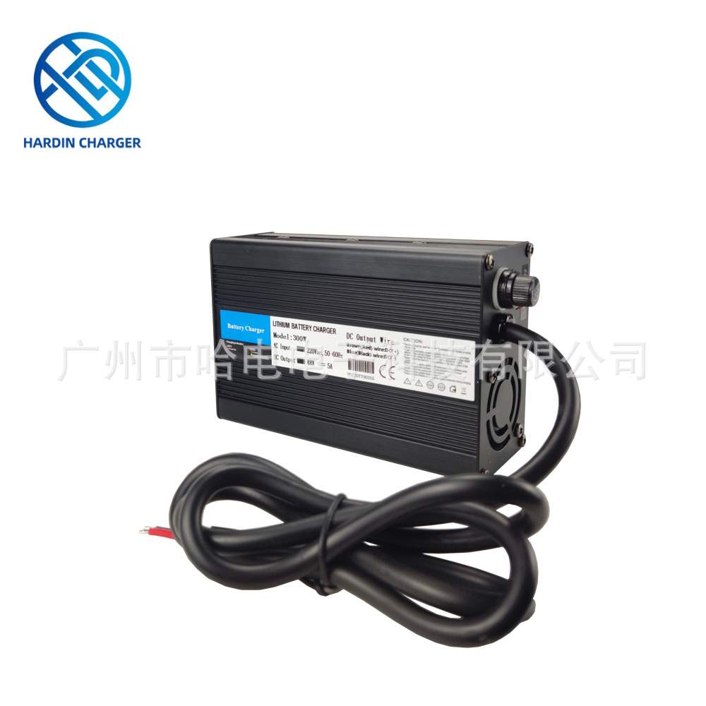 48V30AH48V5A电动轮椅铅酸电池充电器