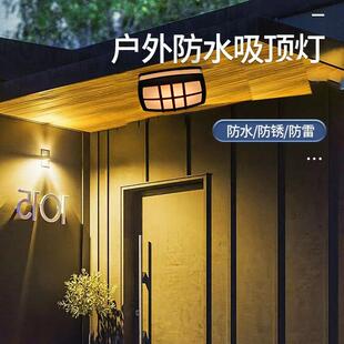 2023年新款门前照明灯感应户外防水别墅入户门口壁灯