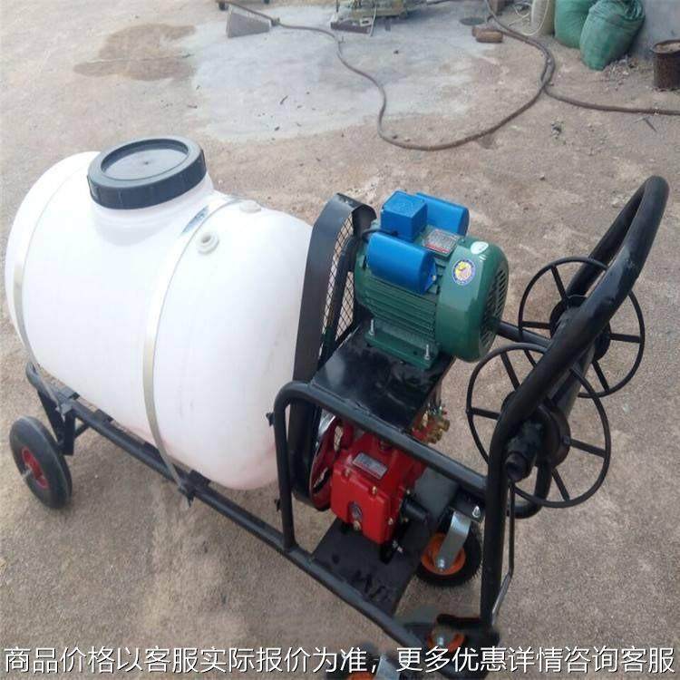 手推打移动式打药机 汽油大容量消毒机 高压远射程农用喷雾器,农机/农具/农膜,植保机械,淘宝优惠券,粉丝福利购,淘宝优惠卷