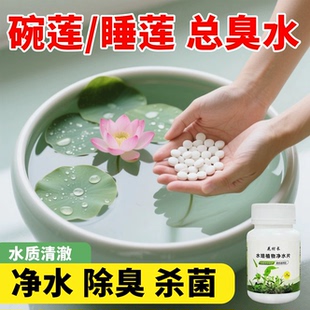 水培植物净水片鲜花花卉保鲜剂不臭水碗莲专用杀菌消毒片净化水质