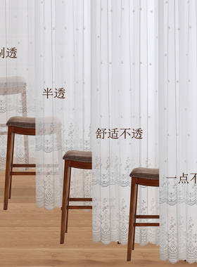 防晒纱帘透光不透人窗纱帘客厅卧室阳台刺绣沙帘纯色高端蕾丝