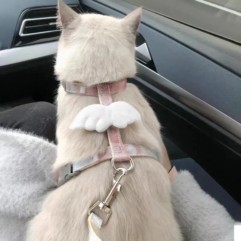 猫咪牵引绳可调节遛猫绳子可爱翅膀幼猫外出专用胸背带宠物狗用