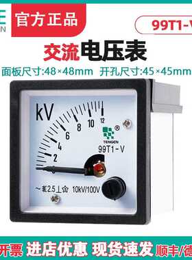 TENN天正电气 99T1-V电压表指针式交流电压表450V 12KV 48*48mm