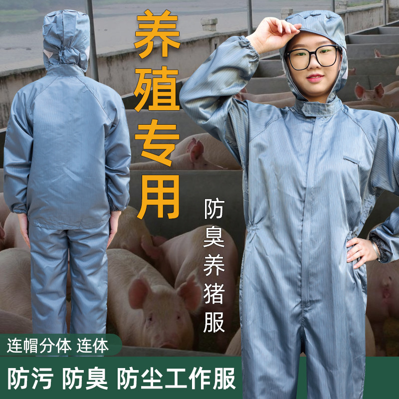 养殖场专用工作服隔离服防臭防污防尘连体服可水洗喂猪养猪防护服