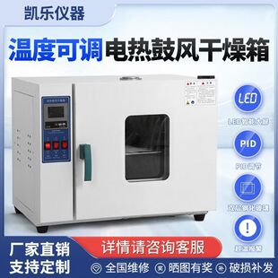 立卧式电热恒温鼓风干燥箱实验箱工业加热烤箱单开门
