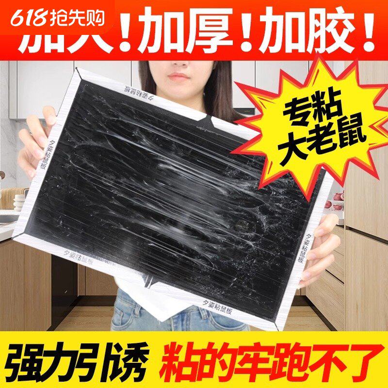 夕姿巨霸老鼠粘加大加厚强力粘鼠板胶贴大老鼠正捉灭捕鼠