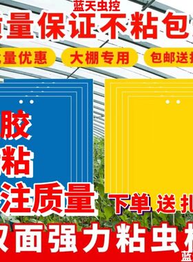 双面粘虫板诱虫板黄色灭小飞虫杀沾果蝇针蜂粘板蓝板蓟马大棚果园