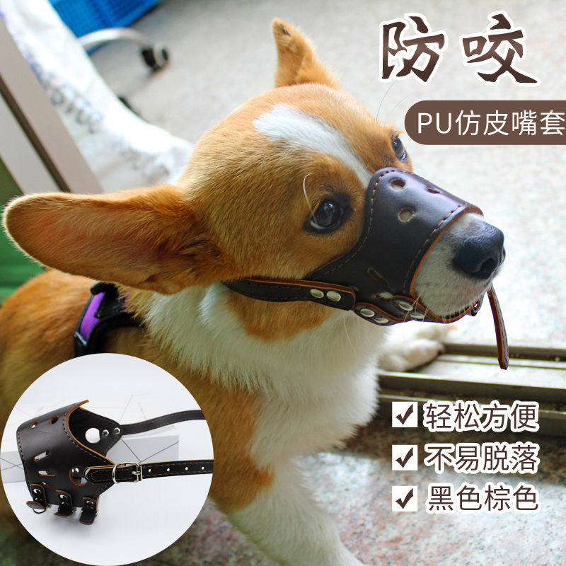 狗狗嘴套狗口罩防咬防叫中大型犬止吠器防乱吃金毛萨摩耶狗罩