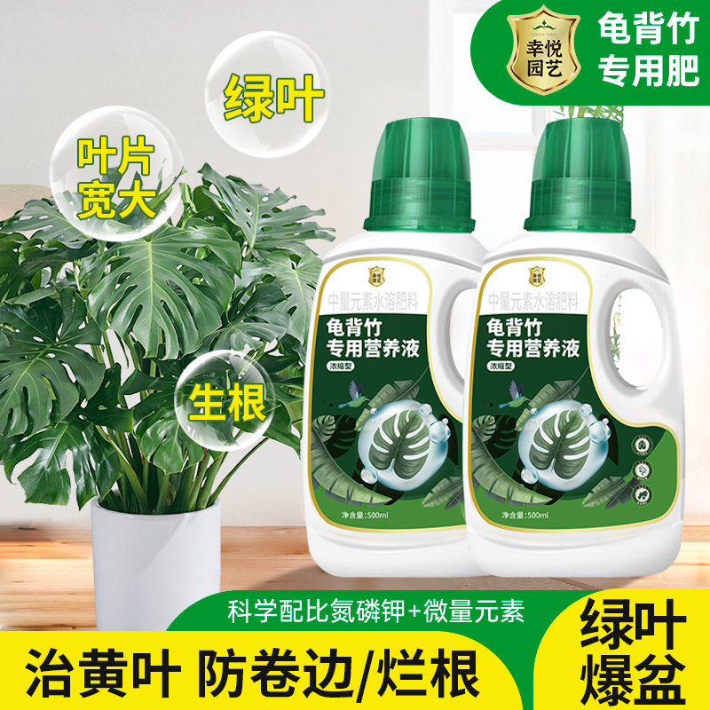 水培龟背竹营养液花肥叶面肥叶子发黄天南星科龟背竹专用肥液