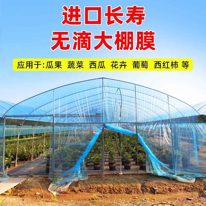 透明长寿农用蔬菜专用布整卷大棚塑料薄膜滴膜内棚膜加厚抗