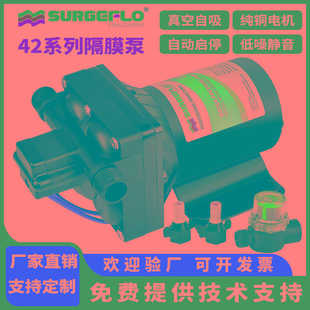 42款 增压抽吸水泵 电动隔膜泵房车游艇直流12V24V灌装 机自吸式