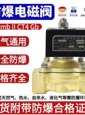 防爆电磁阀 常闭 煤气阀 天然气阀线圈接口4分220V3分DN15 2分
