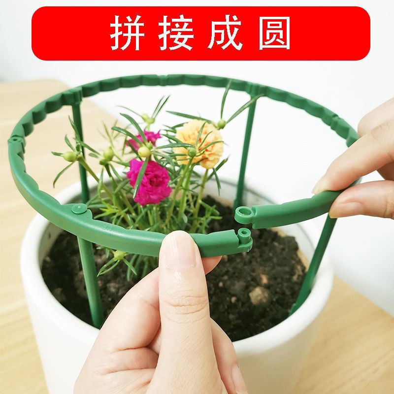 新款蟹爪兰花架支架多肉太阳花支撑防倒伏新款可拼接单层绿植