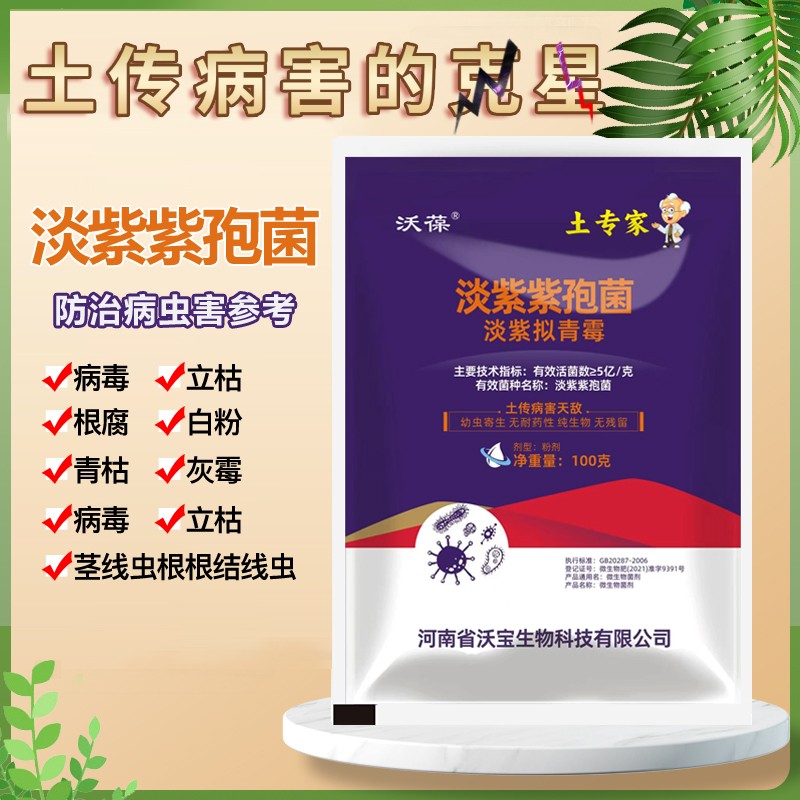 淡紫拟青霉防治根结线虫淡紫紫孢菌蔬菜果树花卉杀线虫根瘤克星