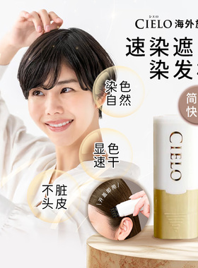 日本 HOYU美源 CIELO宣若染发笔 1Day速染遮白补染染发梳 4色可选