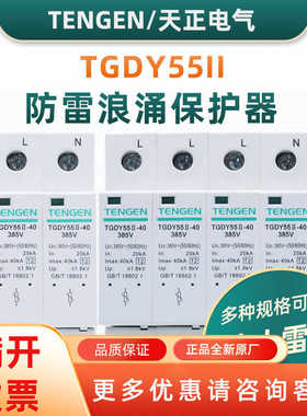 TENN/天正电气防雷2P浪涌保护器TGDY55II家用漏电避雷器3P+N4P