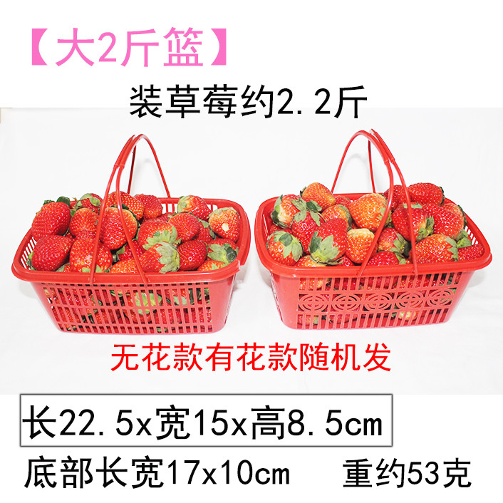 塑料水果篮子草莓樱桃采摘筐一次性手提杨梅包装篮方形红色卖