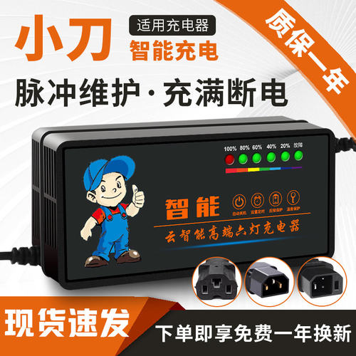 琳茵适用小刀电动车电瓶充电器48V20AH60V72V20A小刀电动车充