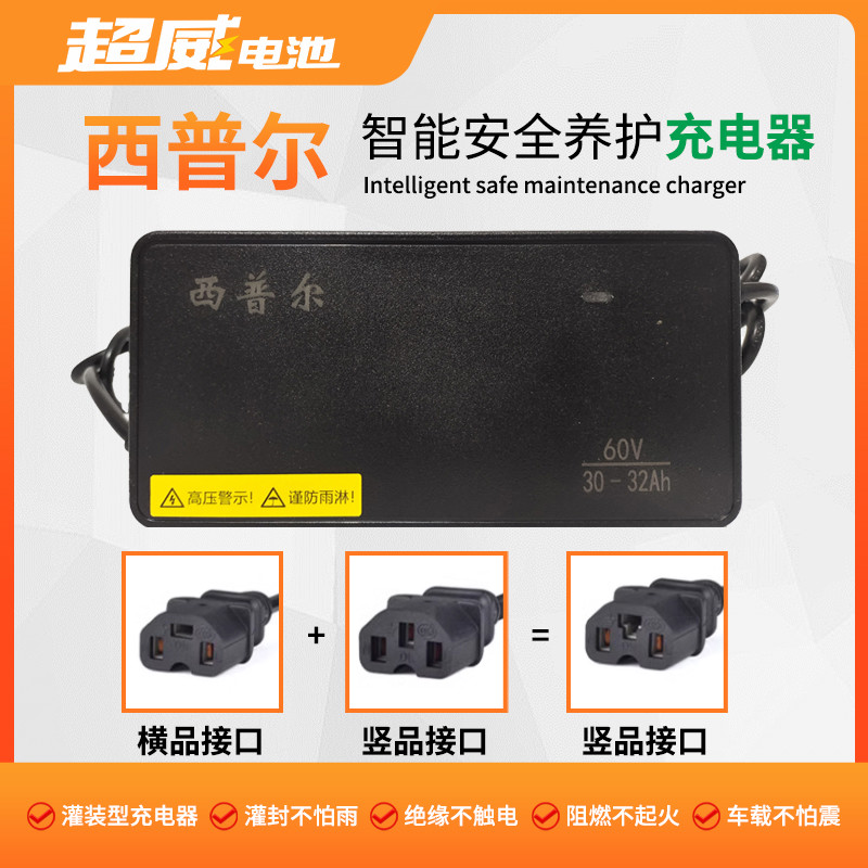 西普尔电动车充电器72V20AH60V48伏爱玛电瓶车二轮车电池通用