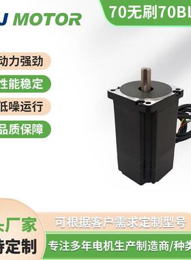 S70BL116-430直流无刷电机48V500W1.6Nm3000转低温升淞杰厂家直营