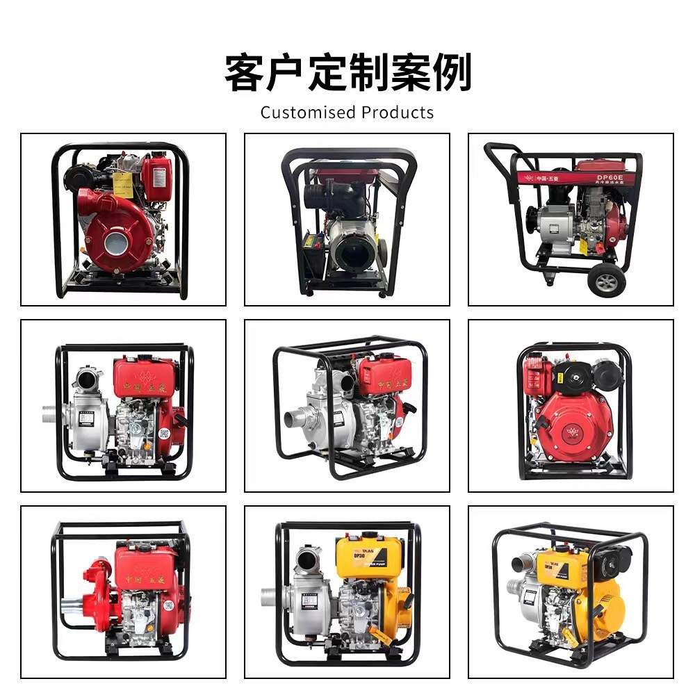6马力手动电动一体机柴油动力2寸DP20水泵抽水机农用浇地CMC