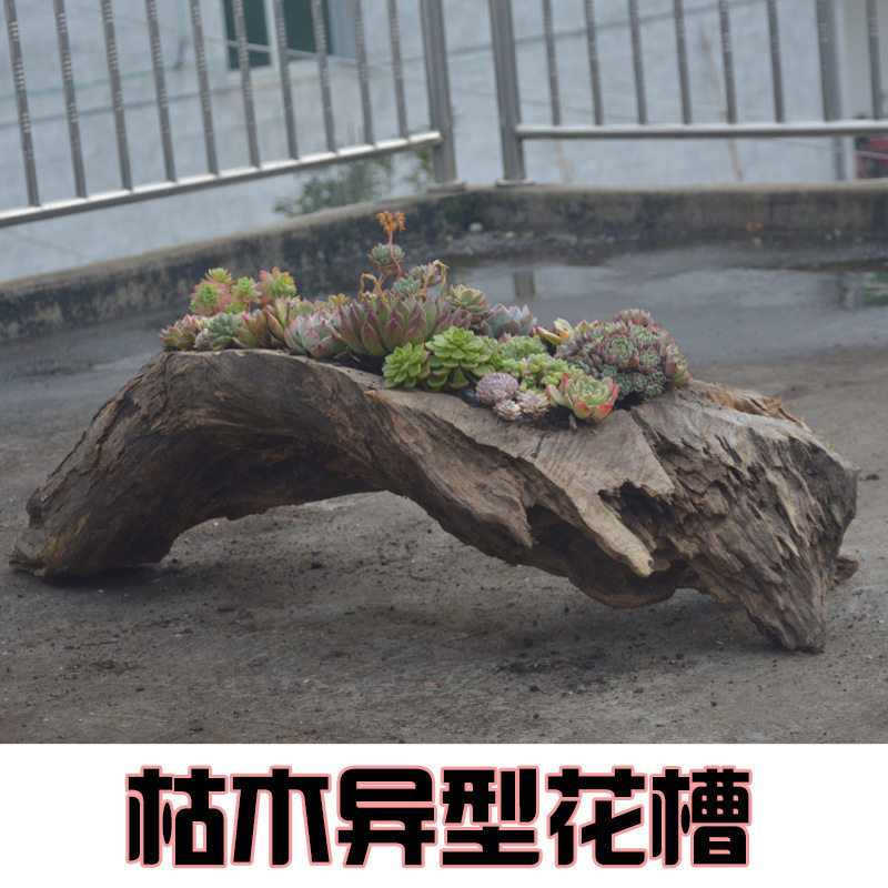 多肉朽风化枯木树根自然原老木槽阳台长方形旧木质花盆猪其他